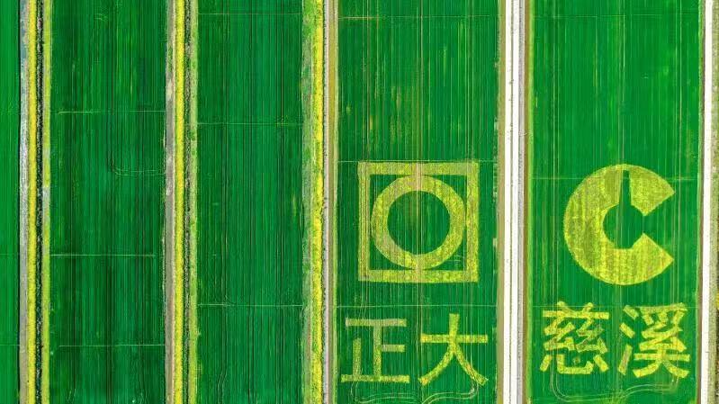 微信图片_20260303164849_1123_2.jpg
