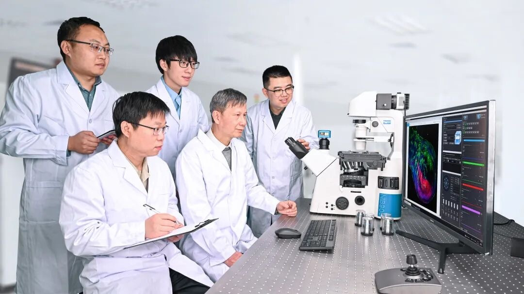 创新，是永新再攀高峰的动力。.jpg