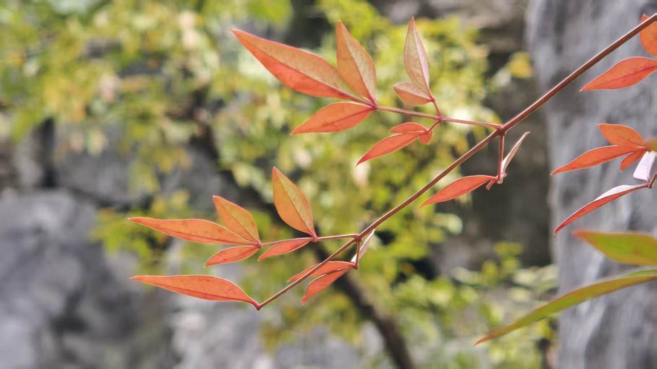 微信图片_20261003111310_1_48.jpg